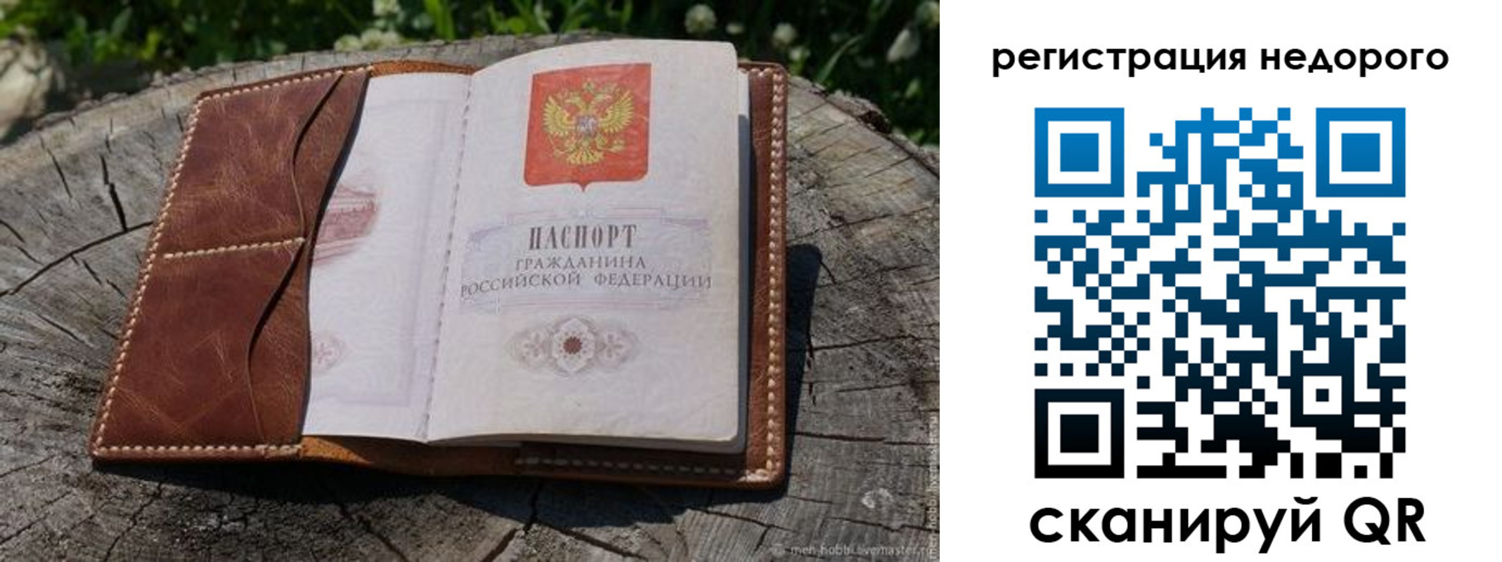 прописка для школы в Петропавловске-Камчатском